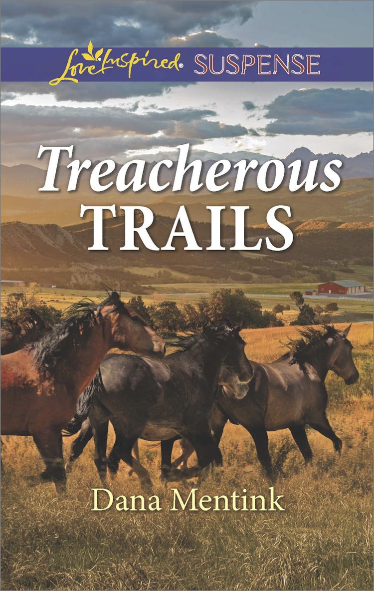 Cover image for Treacherous Trails, isbn: 9781489258908