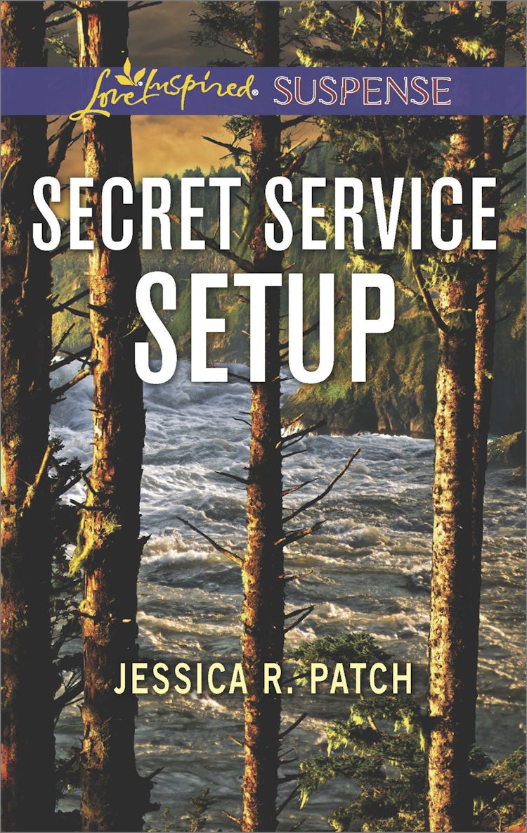Cover image for Secret Service Setup, isbn: 9781489258922