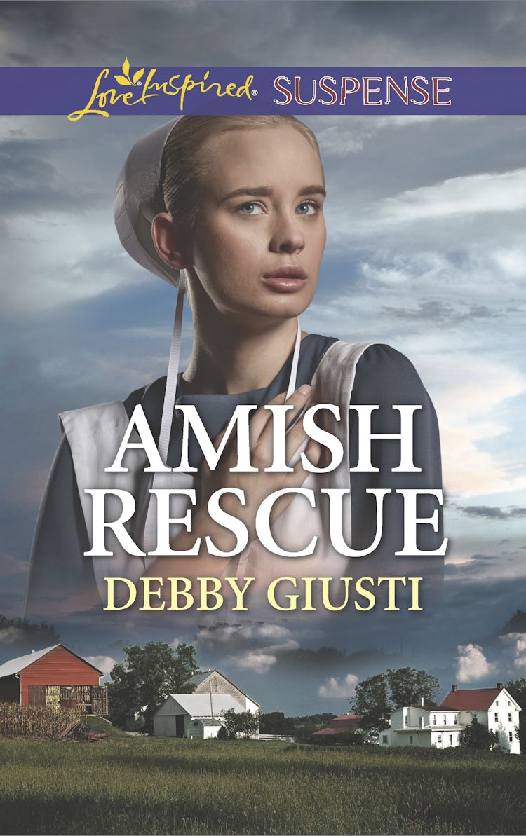 Cover image for Amish Rescue, isbn: 9781489260840