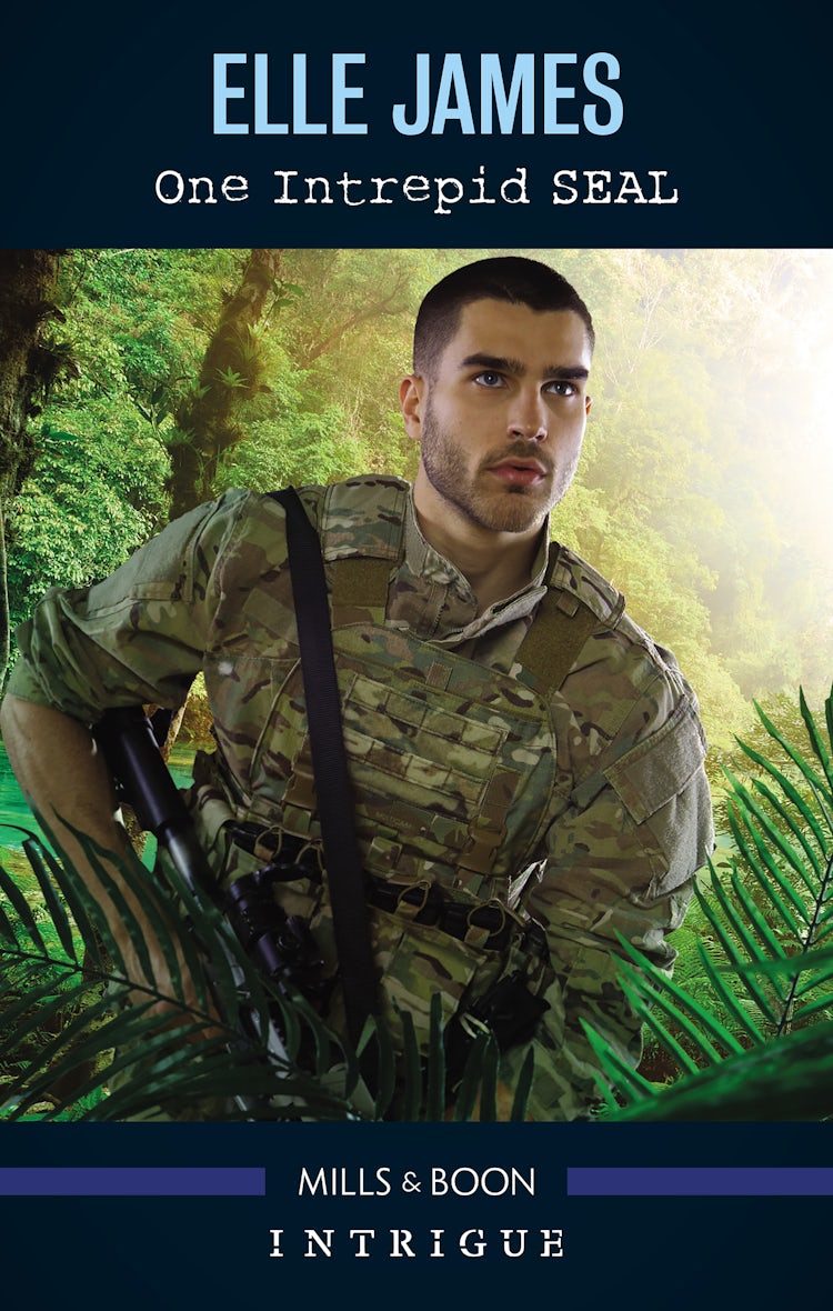 Cover image for One Intrepid Seal, isbn: 9781489262585