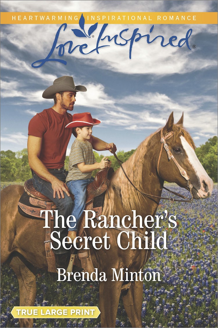 Cover image for The Rancher's Secret Child, isbn: 9781489263261