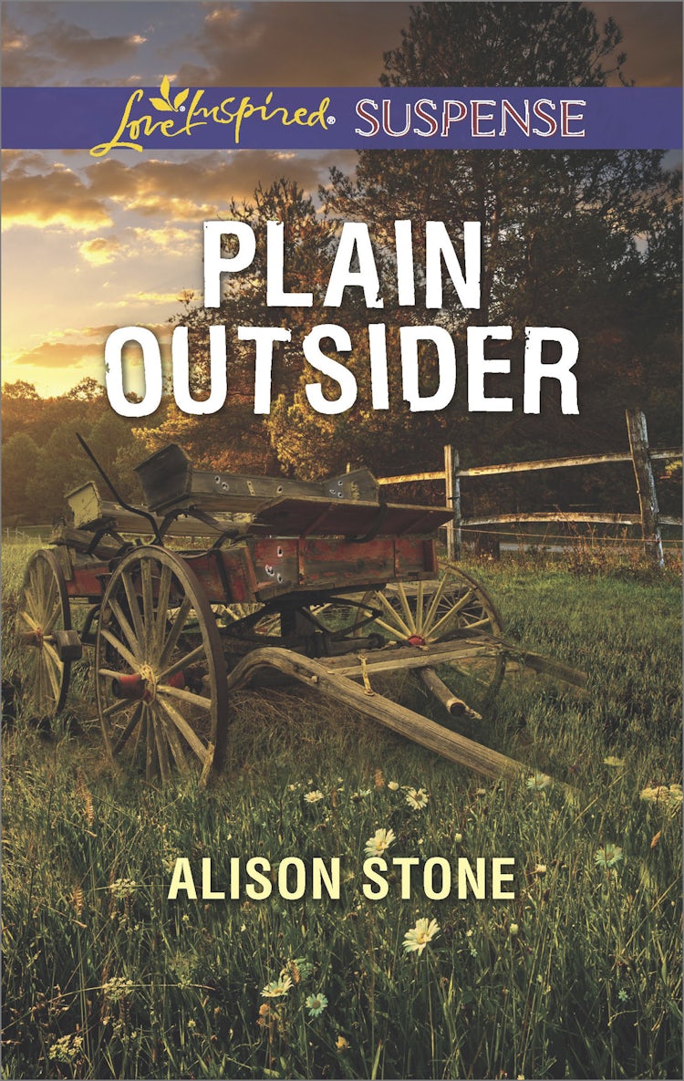 Cover image for Plain Outsider, isbn: 9781489263377