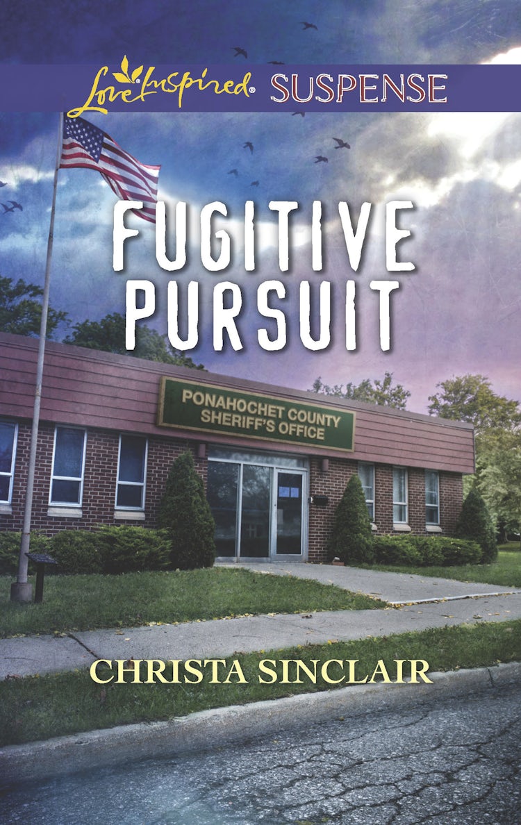 Cover image for Fugitive Pursuit, isbn: 9781489263391