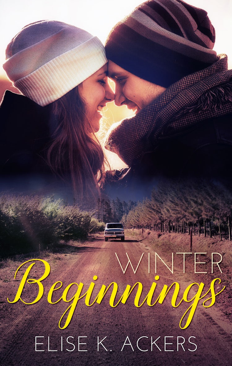 Cover image for Winter Beginnings, isbn: 9781489263711