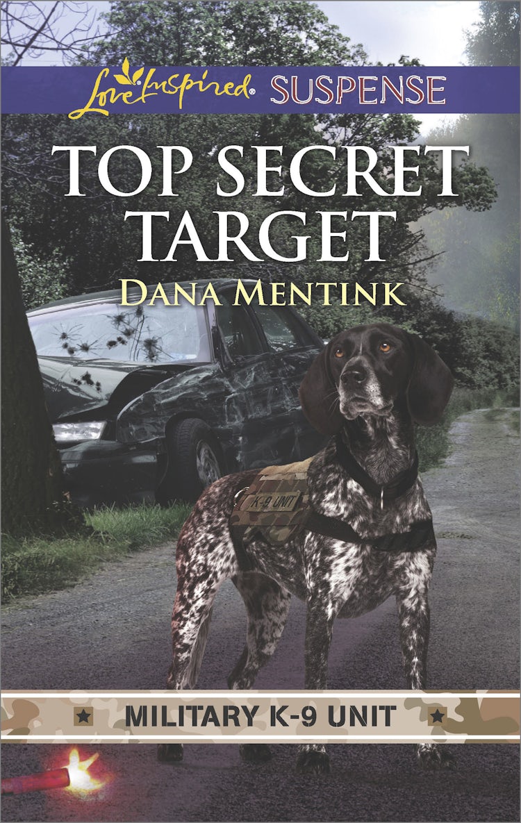 Cover image for Top Secret Target, isbn: 9781489265753