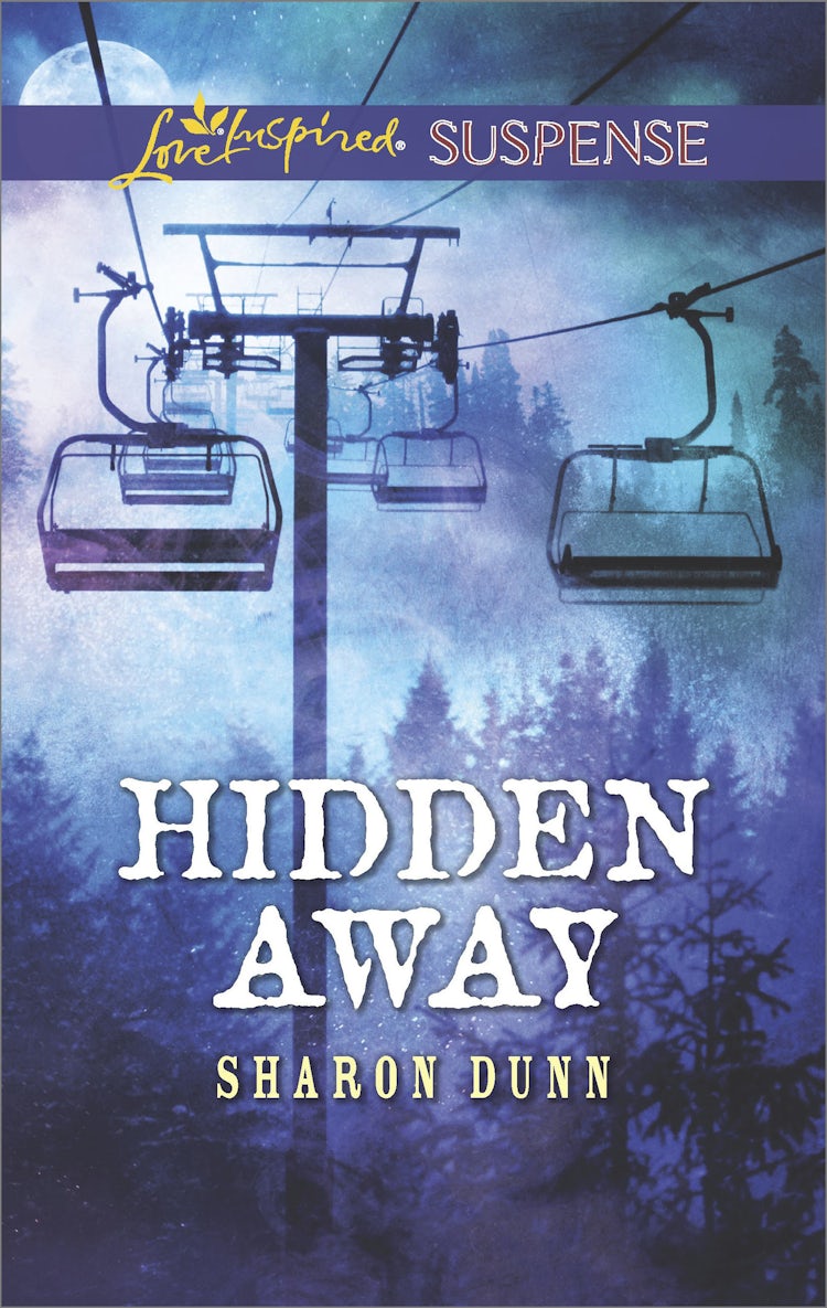 Cover image for Hidden Away, isbn: 9781489265777
