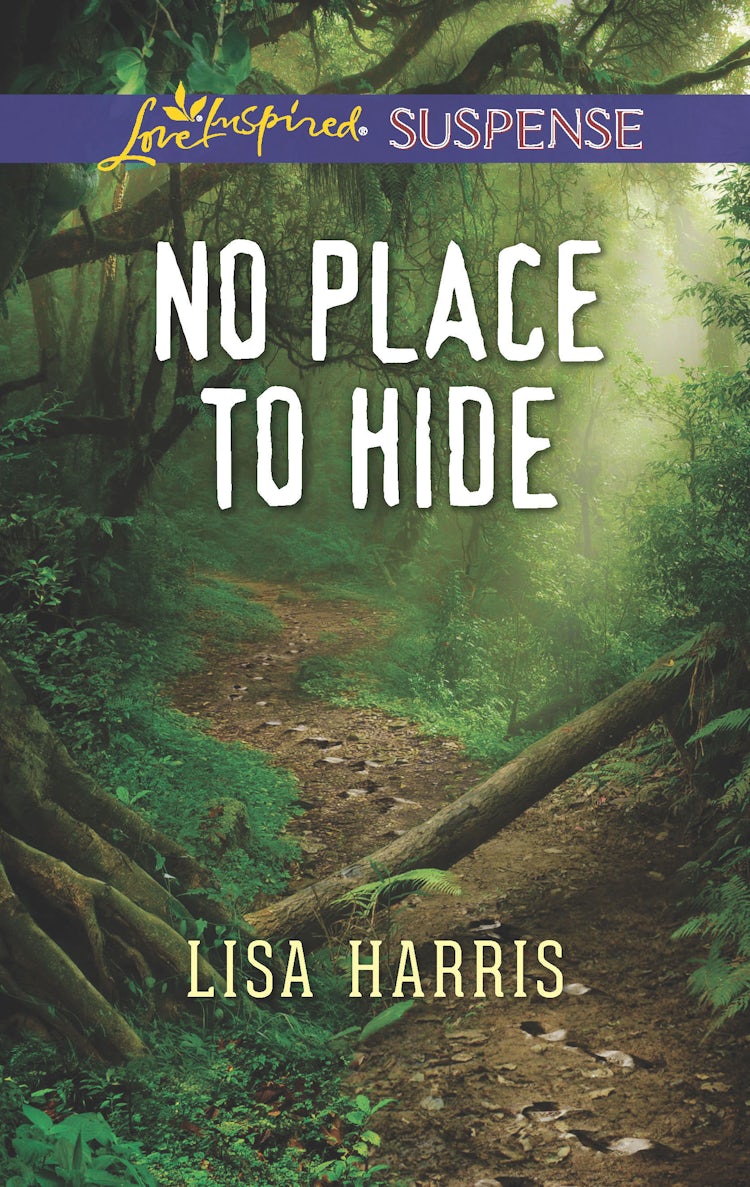 Cover image for No Place To Hide, isbn: 9781489267320