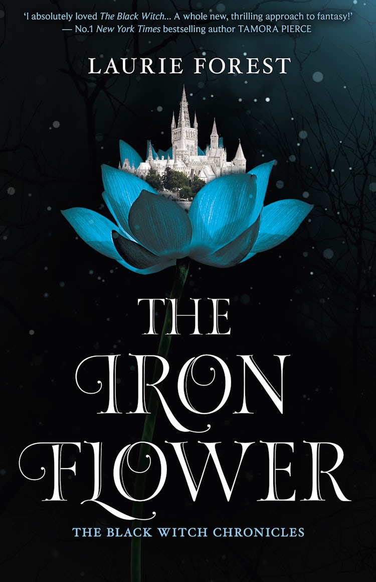 Cover image for The Iron Flower, isbn: 9781489267375