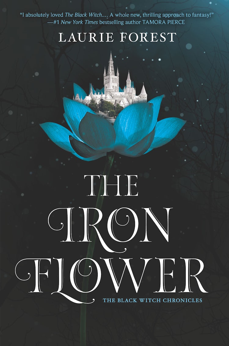 Cover image for The Iron Flower, isbn: 9781489267481
