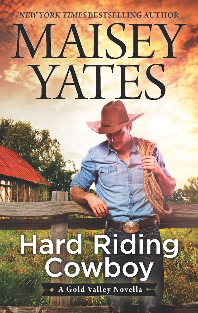 Cover image for Hard Riding Cowboy (A Gold Valley Novella), isbn: 9781489267511