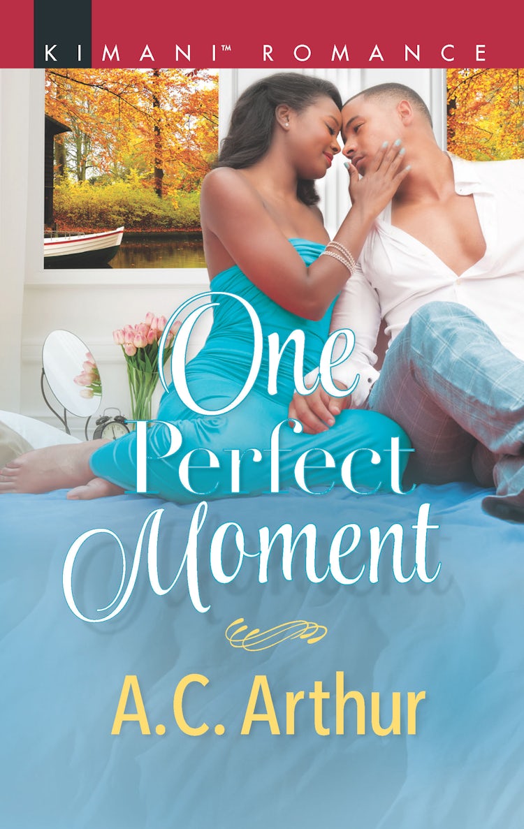 Cover image for One Perfect Moment, isbn: 9781489269003