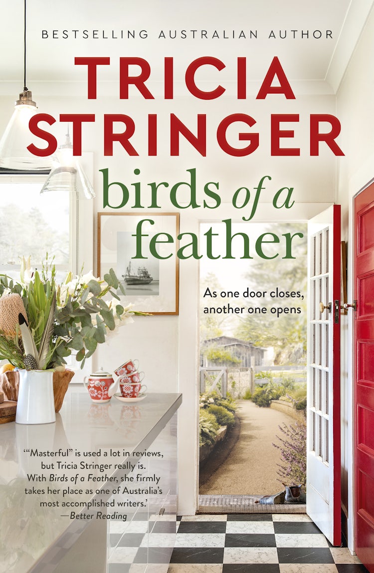 Cover image for Birds of a Feather, isbn: 9781489270856
