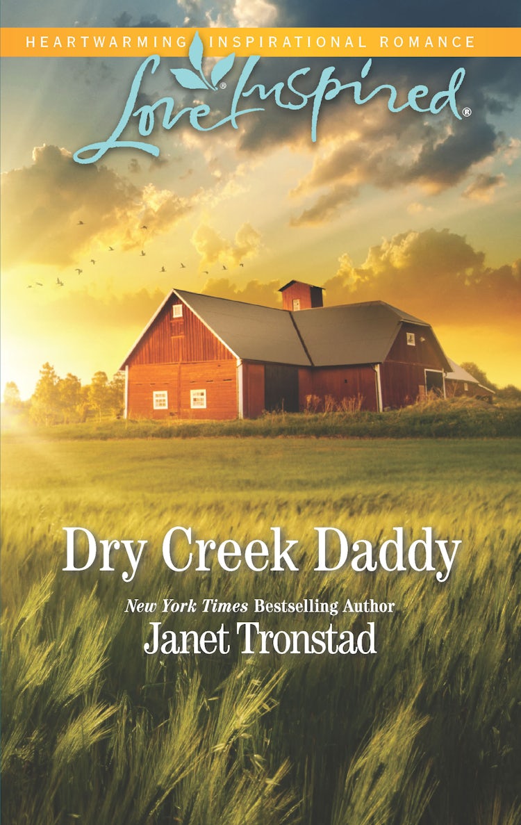 Cover image for Dry Creek Daddy, isbn: 9781489271150