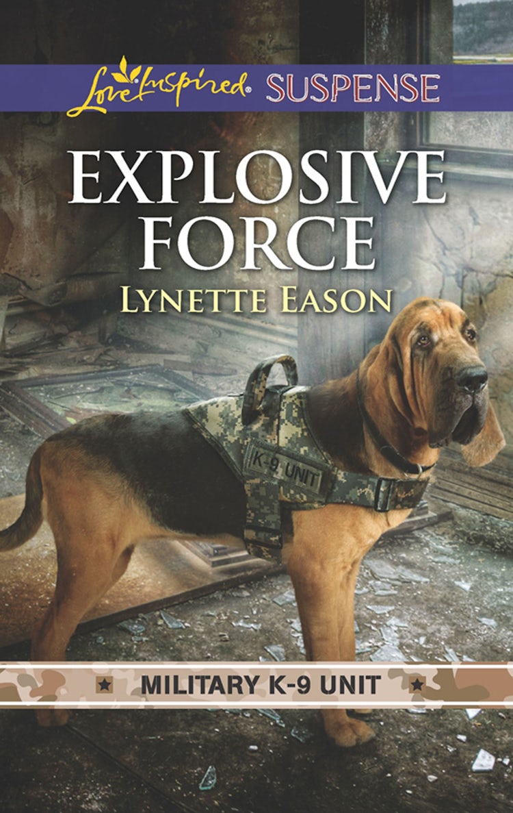 Cover image for Explosive Force, isbn: 9781489271297