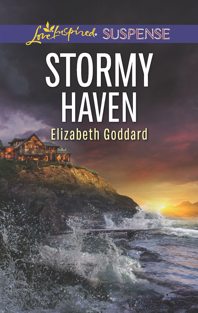 Cover image for Stormy Haven, isbn: 9781489271303