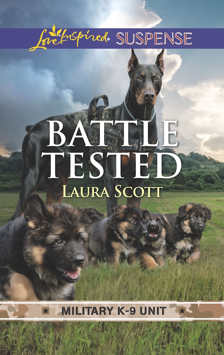 Cover image for Battle Tested, isbn: 9781489273123