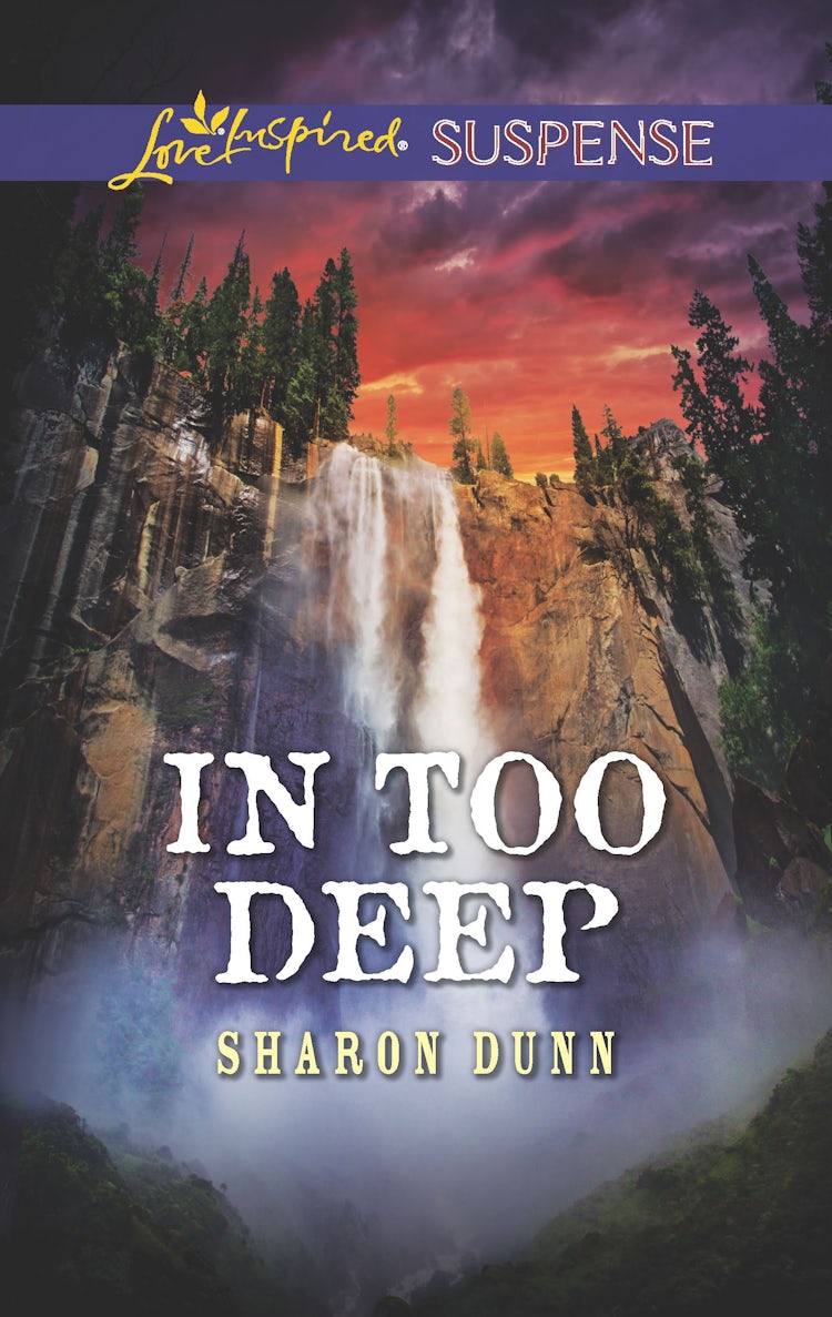 Cover image for In Too Deep, isbn: 9781489273154