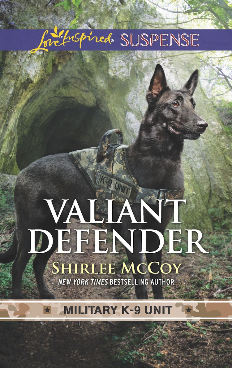 Cover image for Valiant Defender, isbn: 9781489274960