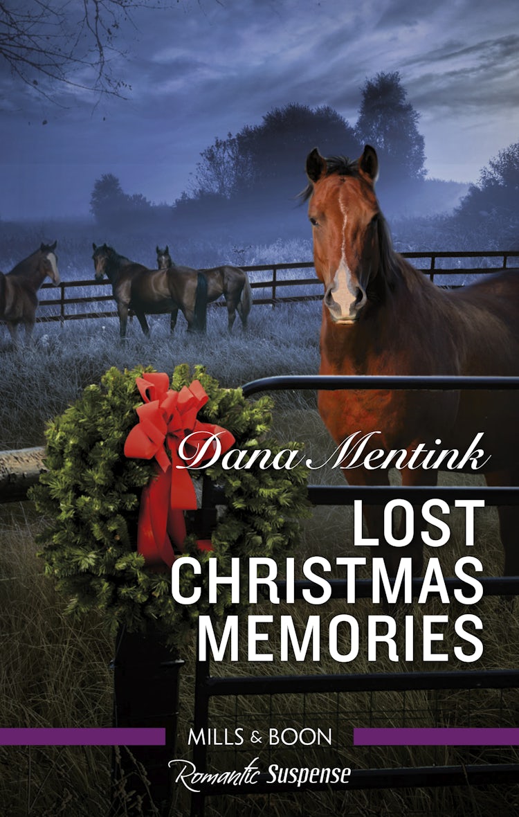 Cover image for Lost Christmas Memories, isbn: 9781489274984