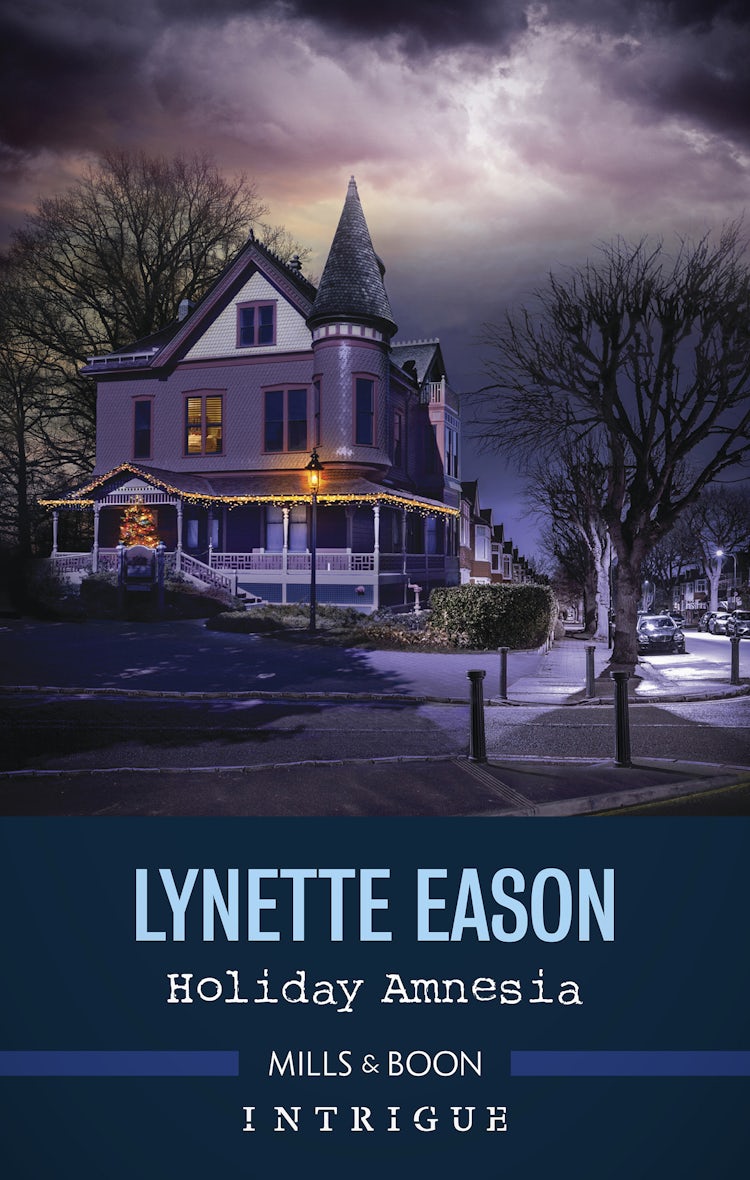 Cover image for Holiday Amnesia, isbn: 9781489276018