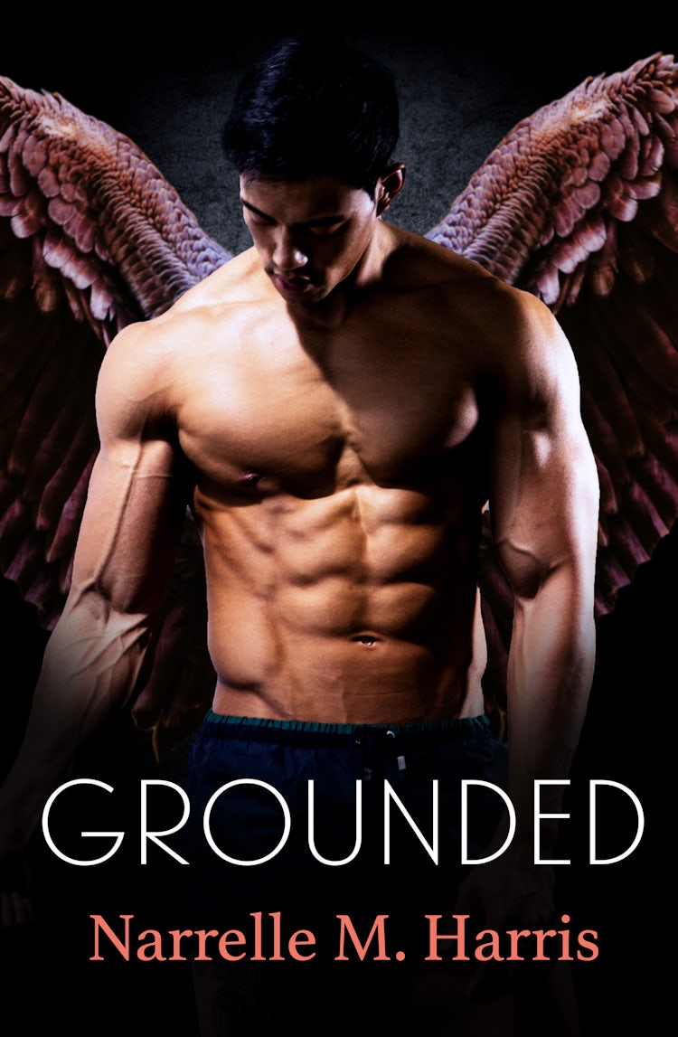 Cover image for Grounded, isbn: 9781489276834