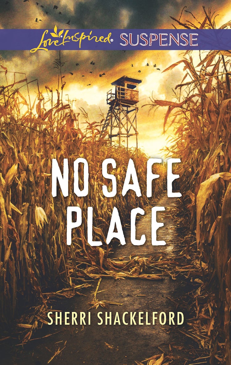 Cover image for No Safe Place, isbn: 9781489278654