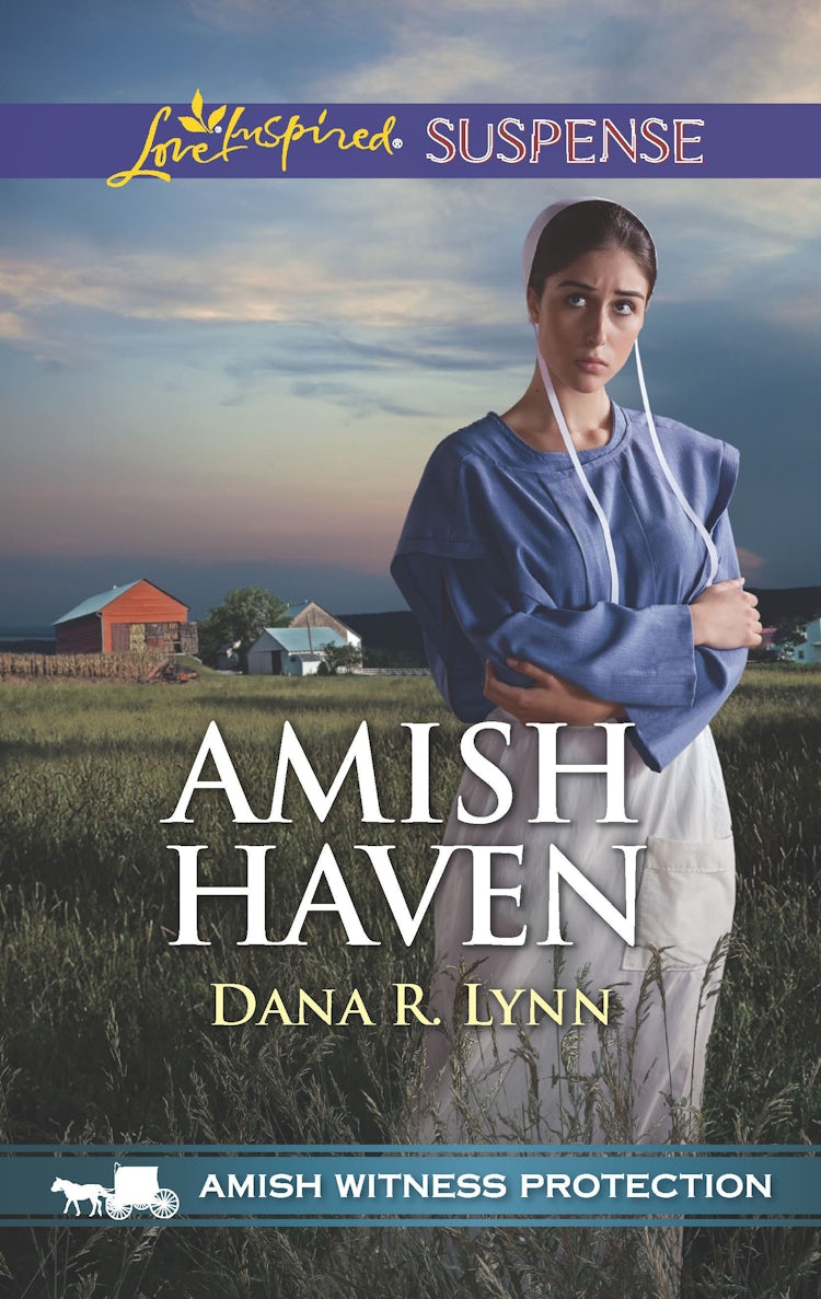 Cover image for Amish Haven, isbn: 9781489281982