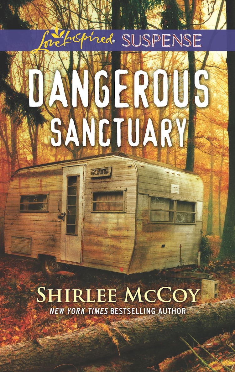 Cover image for Dangerous Sanctuary, isbn: 9781489281999