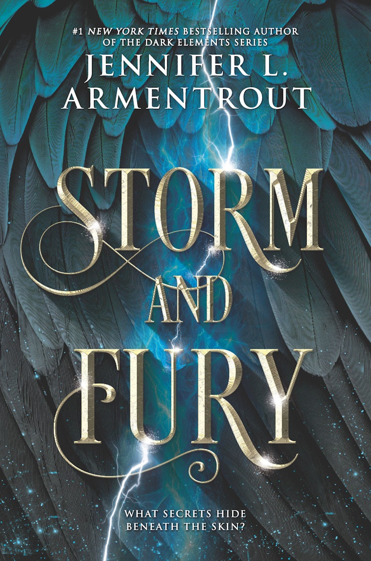 Cover image for Storm and Fury, isbn: 9781489282682