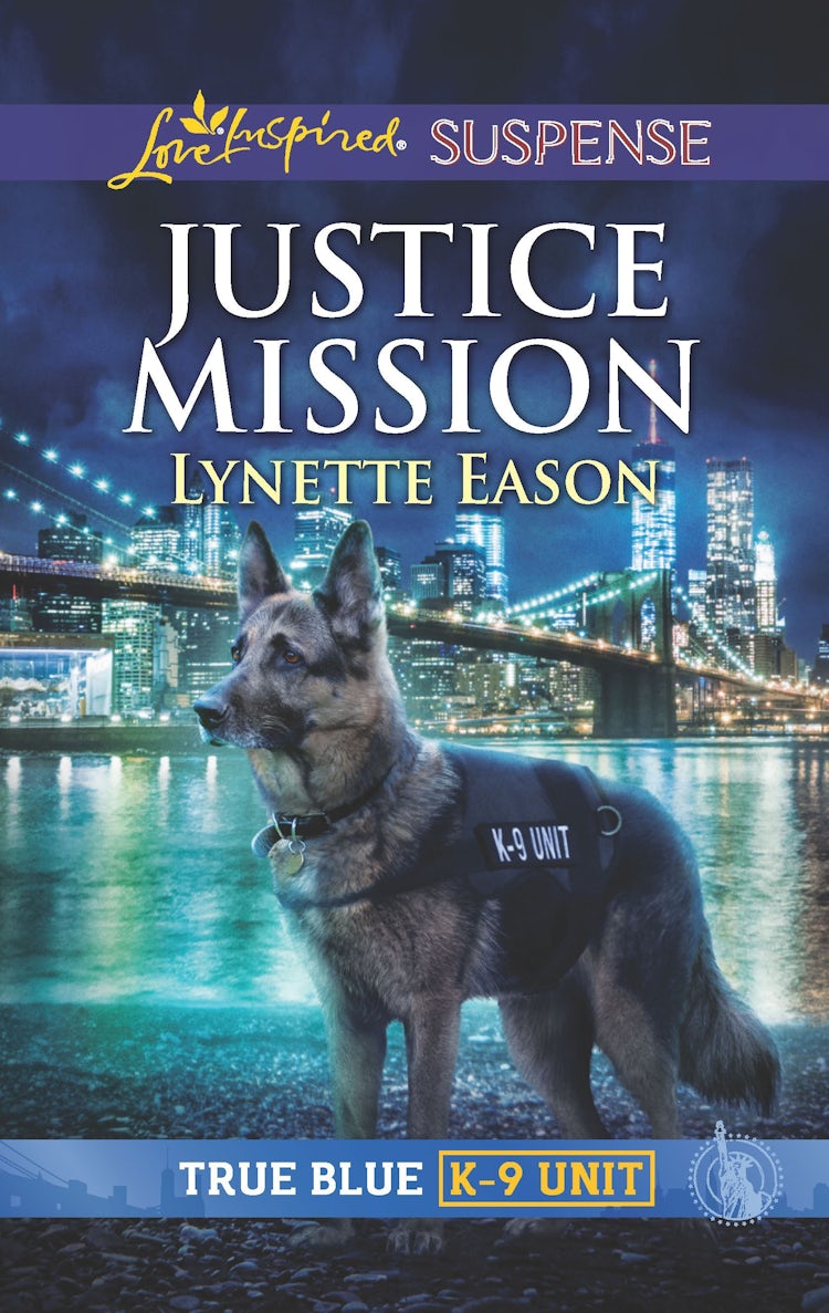 Cover image for Justice Mission, isbn: 9781489283573