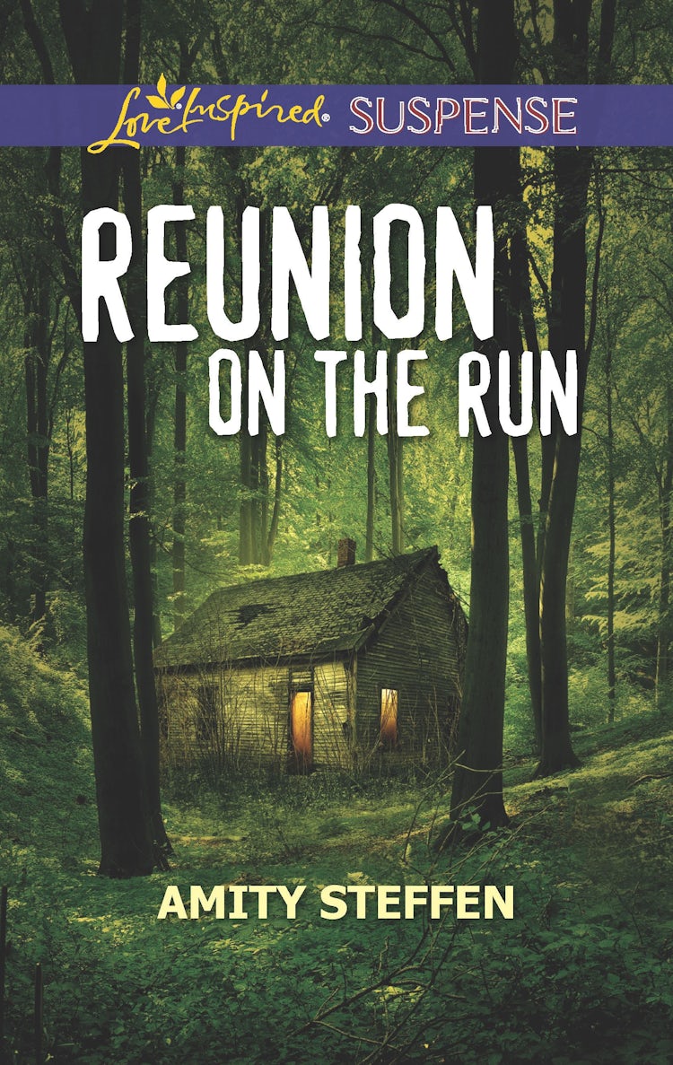 Cover image for Reunion on the Run, isbn: 9781489283634