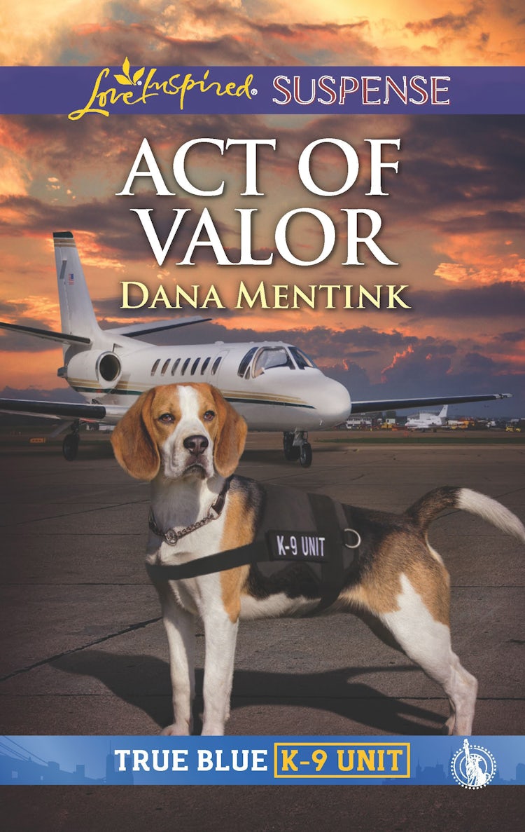 Cover image for Act of Valor, isbn: 9781489285553