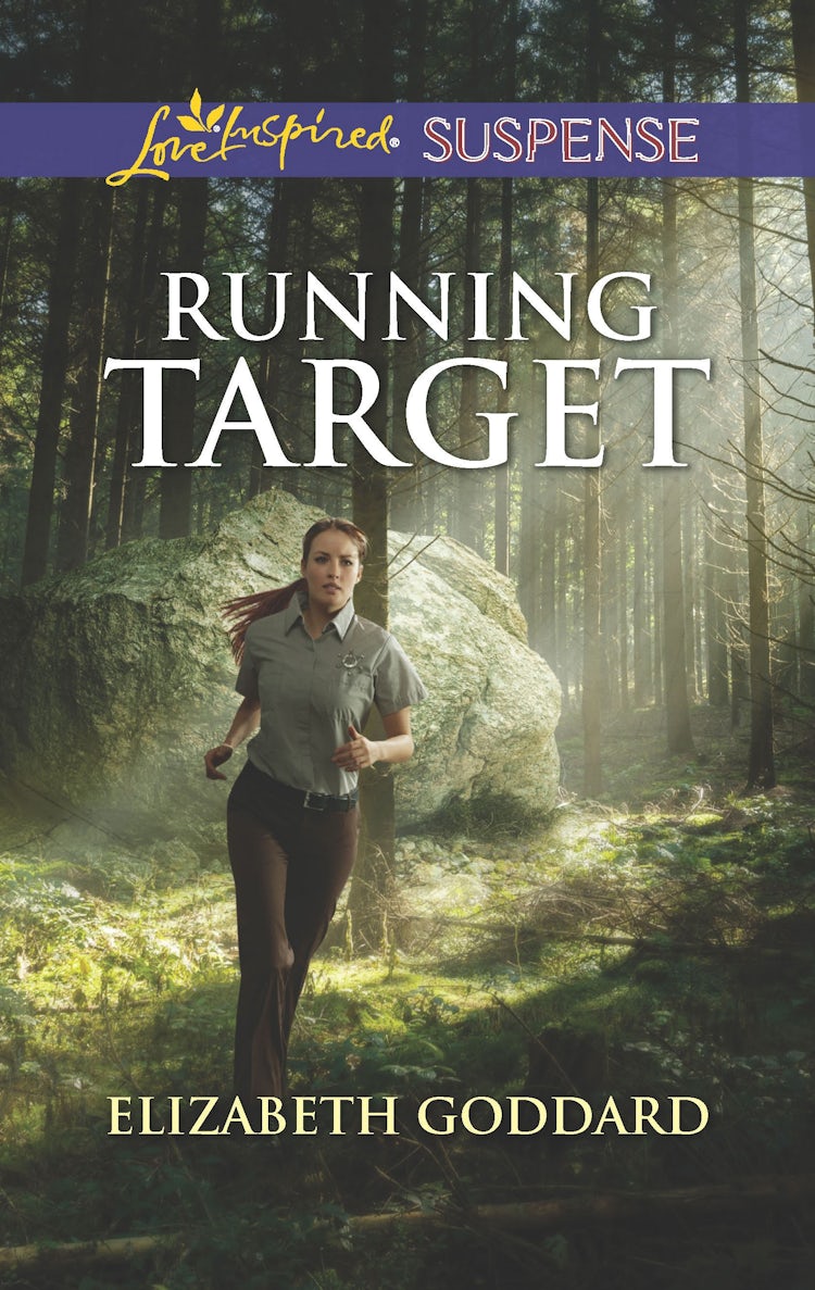 Cover image for Running Target, isbn: 9781489285577