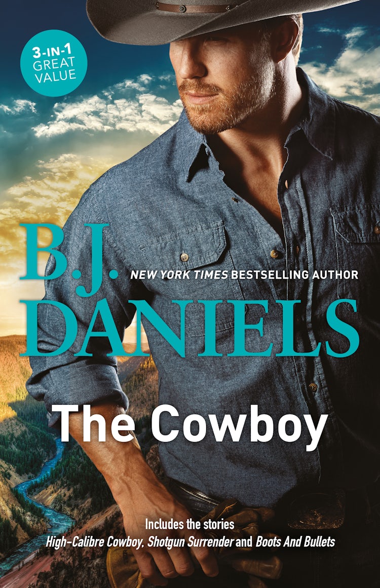Cover image for The Cowboy, isbn: 9781489286406