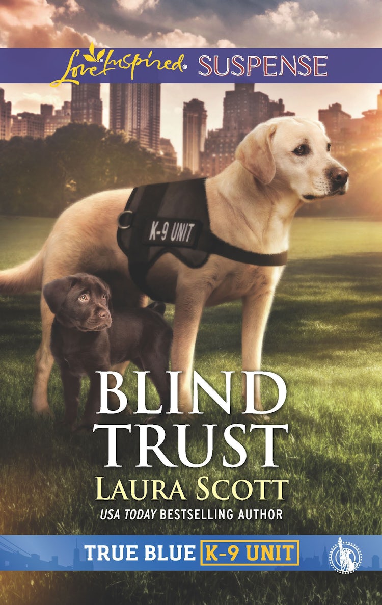 Cover image for Blind Trust, isbn: 9781489286512