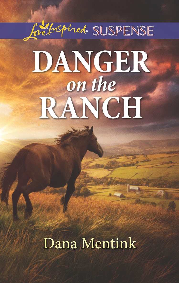 Cover image for Danger on the Ranch, isbn: 9781489286543
