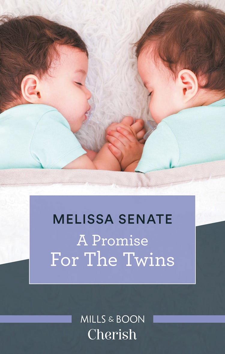 Cover image for A Promise for the Twins, isbn: 9781489287793