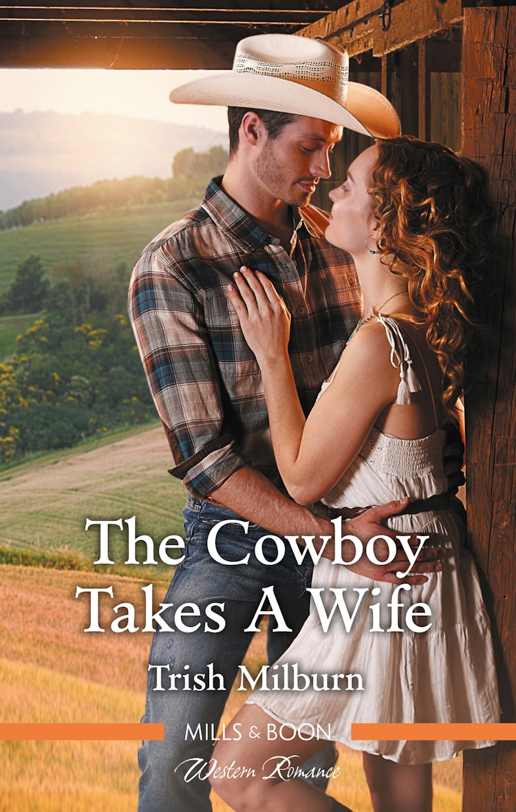Cover image for The Cowboy Takes a Wife, isbn: 9781489287861
