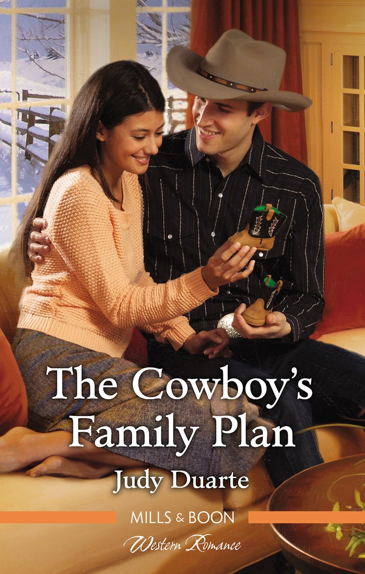 Cover image for The Cowboy's Family Plan, isbn: 9781489288929
