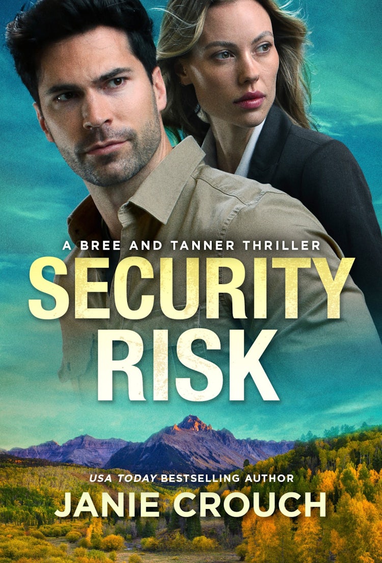 Cover image for Security Risk, isbn: 9781489289629
