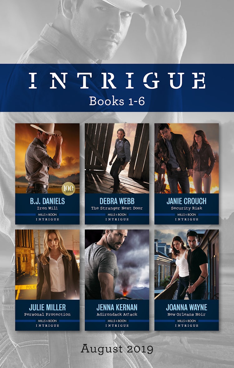 Cover image for Intrigue Box Set 1-6/Iron Will/The Stranger Next Door/Security Risk/Personal Protection/Adirondack Attack/New Orleans Noir, isbn: 9781489289667