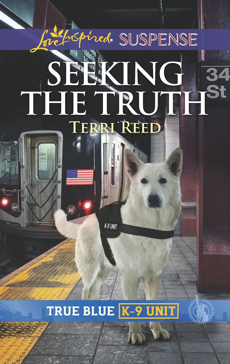 Cover image for Seeking the Truth, isbn: 9781489290168