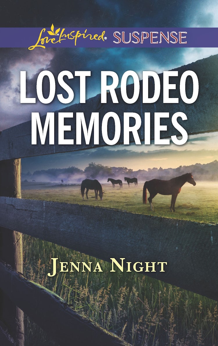 Cover image for Lost Rodeo Memories, isbn: 9781489290199