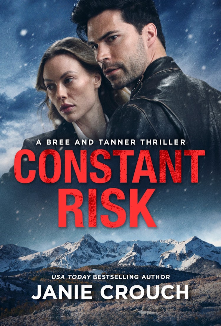 Cover image for Constant Risk, isbn: 9781489292230