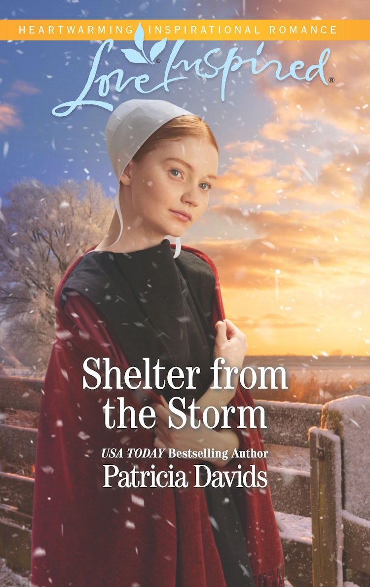 Cover image for Shelter from the Storm, isbn: 9781489292704