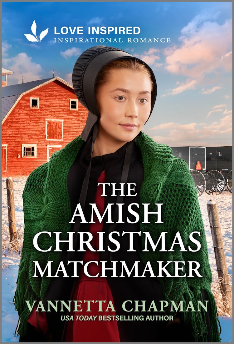 Cover image for The Amish Christmas Matchmaker, isbn: 9781489294081
