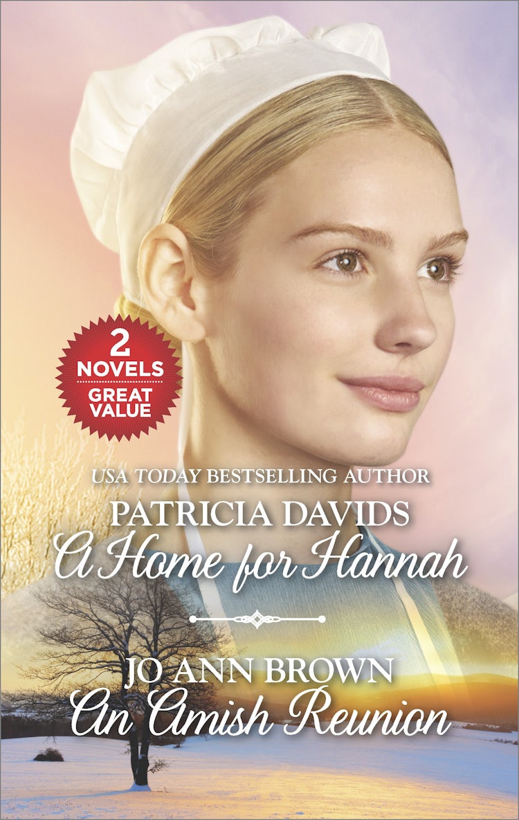 Cover image for A Home for Hannah/An Amish Reunion, isbn: 9781489294166