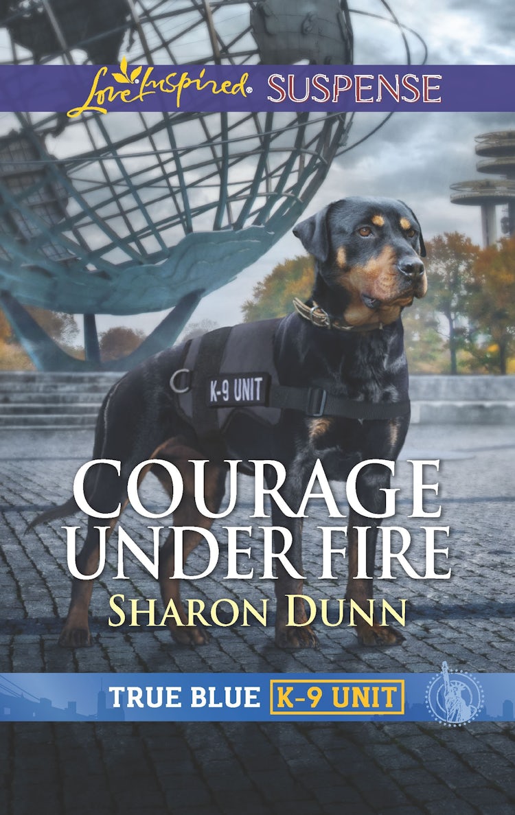 Cover image for Courage Under Fire, isbn: 9781489294180