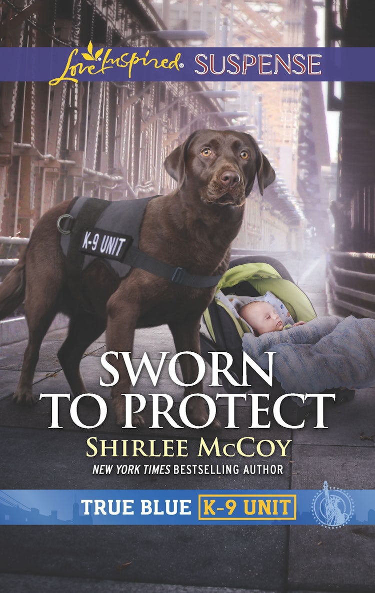Cover image for Sworn to Protect, isbn: 9781489296634