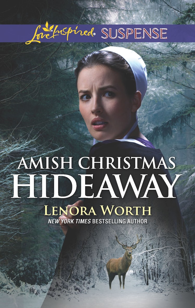 Cover image for Amish Christmas Hideaway, isbn: 9781489298546